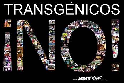 Resultado de imagen para UN mensaje lindo para los que coen trangenico