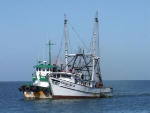 21canainpesca2