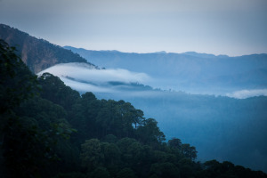 © César Martínez López