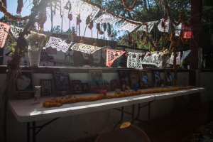 © César Martínez López