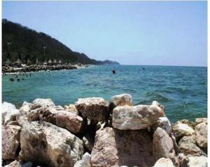 img_1359952667_8b5b77fe9fc99e066f2b(1)