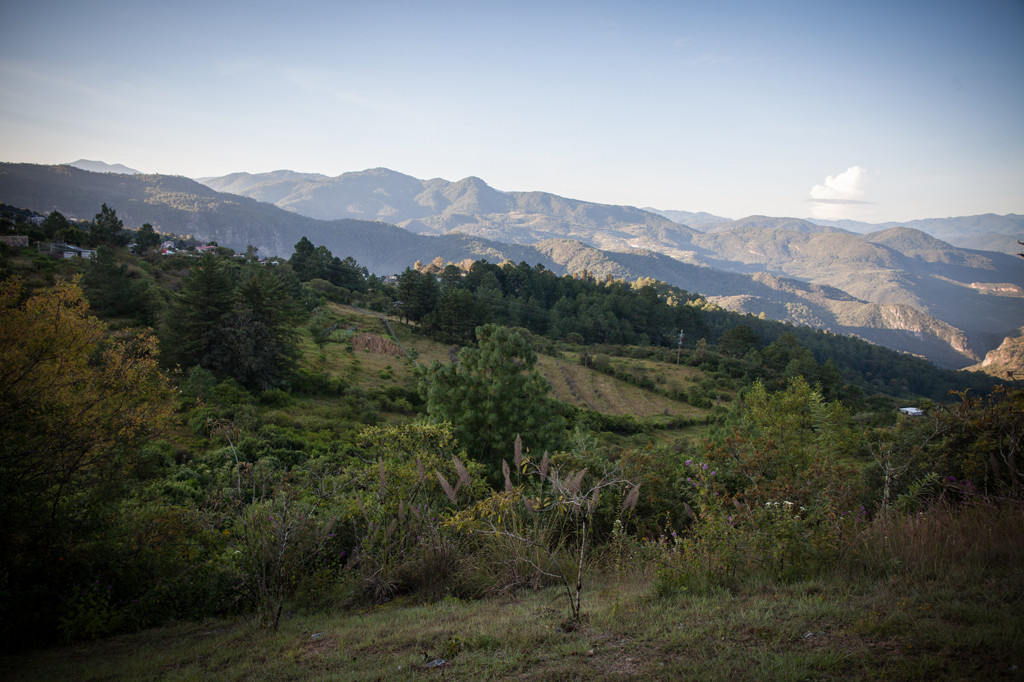 © César Martínez López