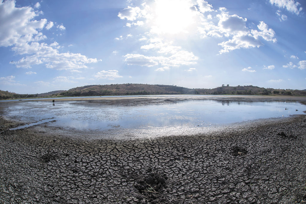 Matagalpa, Nicaragua. 27/Abril/2015.Humedales de Moyua se secan por sequia y despale. Oscar Navarrete/LA PRENSA.