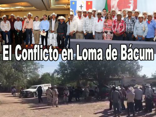 https://paginabierta.mx/wp-content/uploads/2016/11/6yaq.jpg