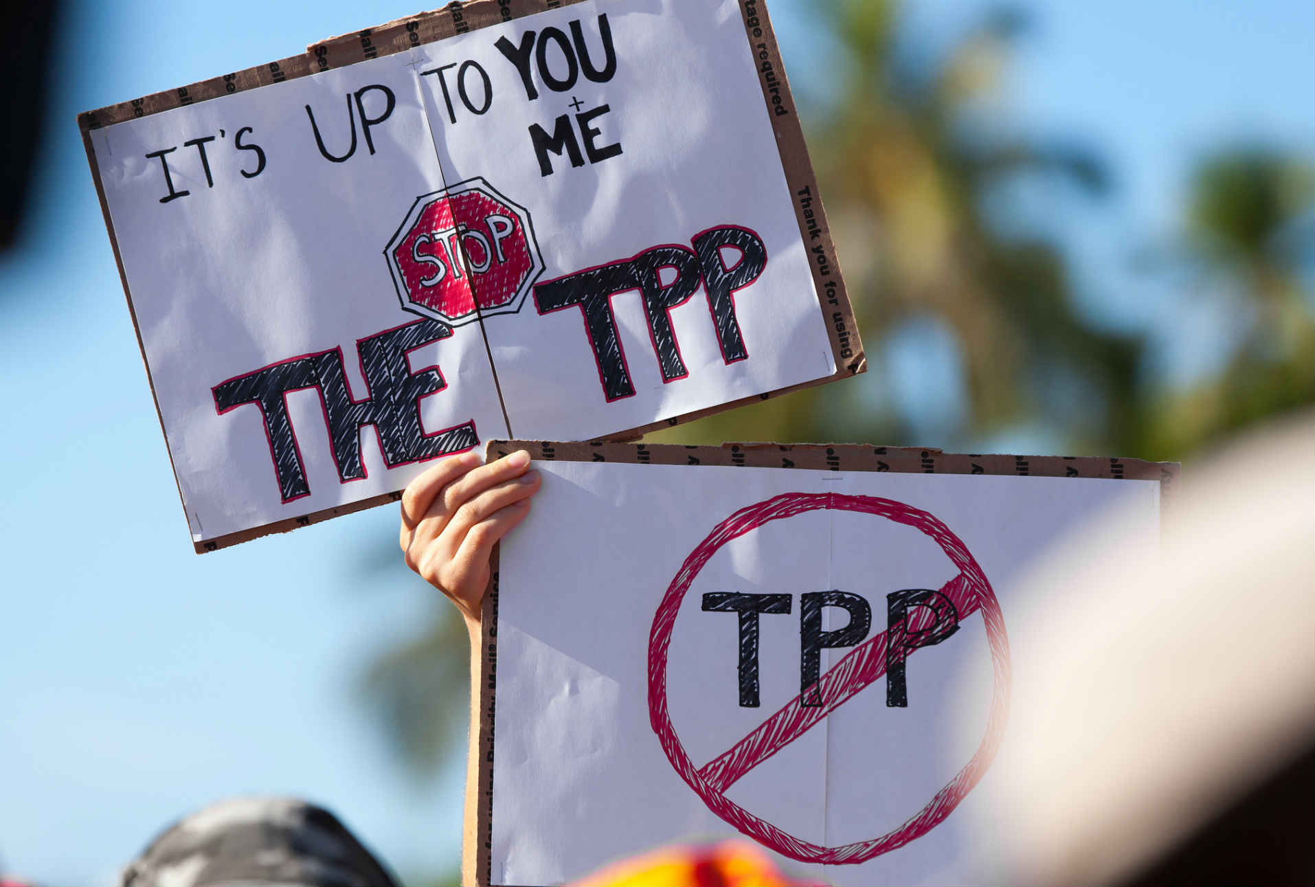 https://paginabierta.mx/wp-content/uploads/2016/11/8tpp.jpg