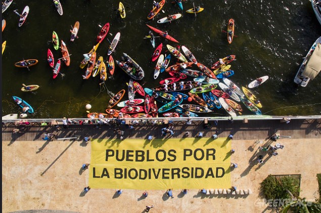 https://paginabierta.mx/wp-content/uploads/2016/12/12bio.jpg