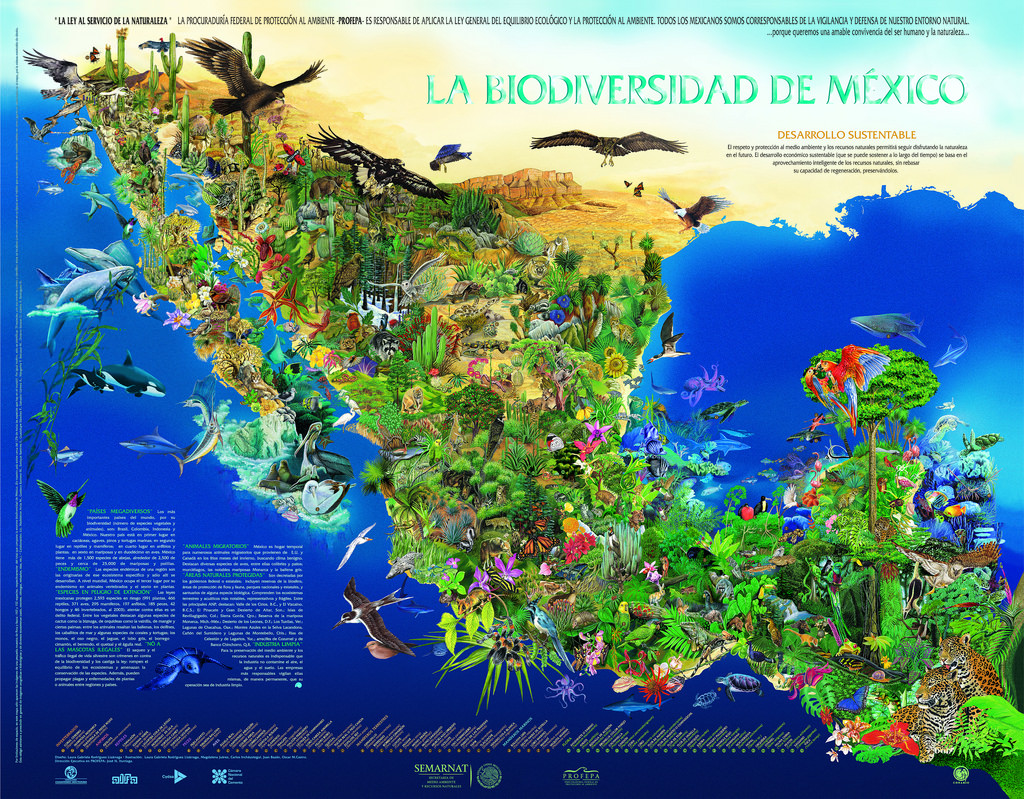 https://paginabierta.mx/wp-content/uploads/2016/12/30pro.jpg