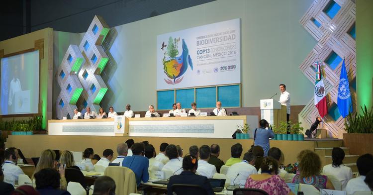 https://paginabierta.mx/wp-content/uploads/2016/12/5peñ.jpg