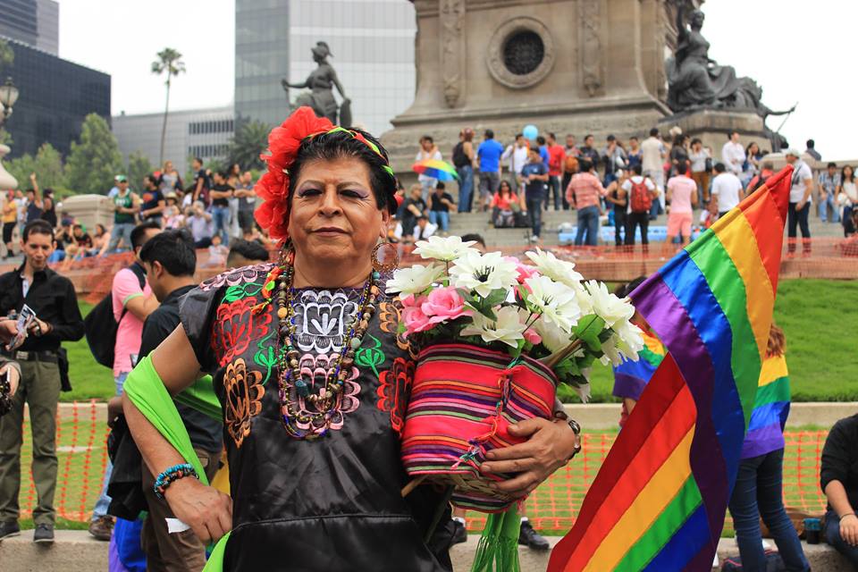 https://paginabierta.mx/wp-content/uploads/2017/01/13tra.jpg