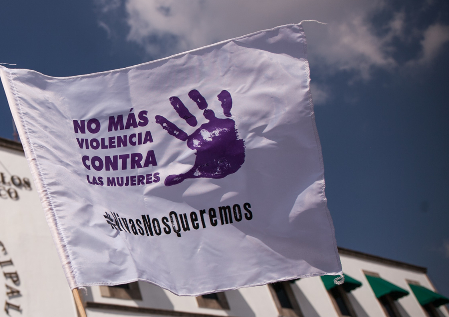 https://paginabierta.mx/wp-content/uploads/2017/02/13vio.jpg