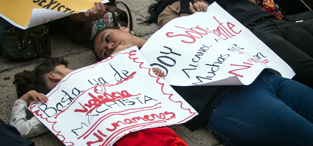 https://paginabierta.mx/wp-content/uploads/2017/02/24vio.jpg