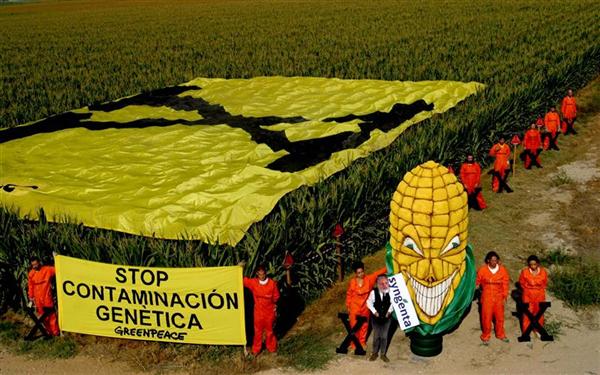 https://paginabierta.mx/wp-content/uploads/2017/03/10gre.jpg