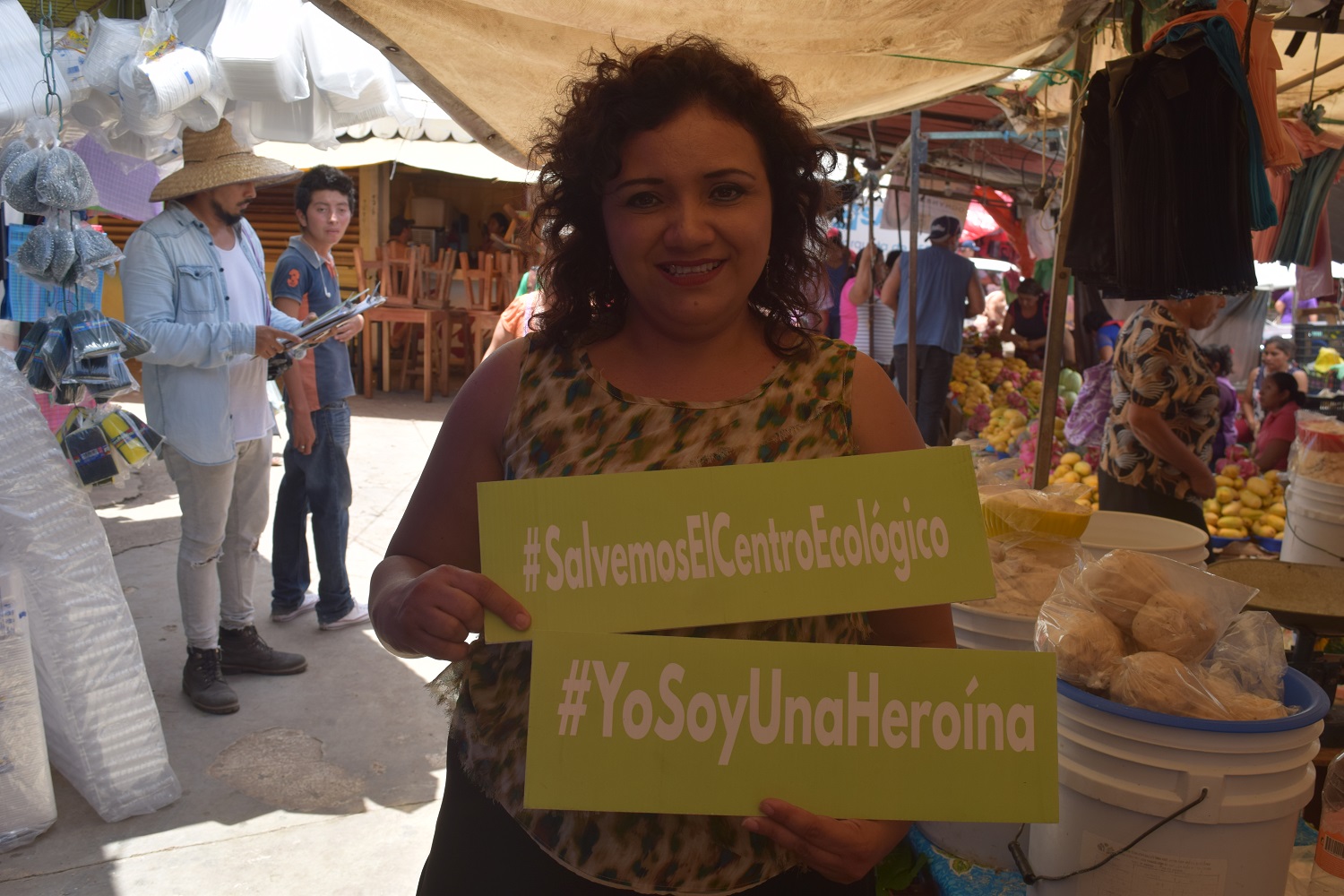 https://paginabierta.mx/wp-content/uploads/2017/06/29cen.jpg