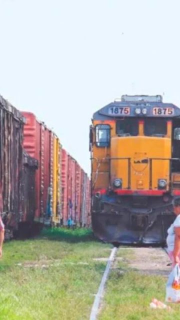 Juez mete freno a “Tren Maya”/ Se otorga suspensión definitiva a indigenas Ch’ol